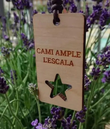 Apartament Cami Ample L' Escala Zewnętrze zdjęcie