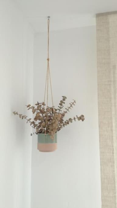 Appartamento Cami Ample *